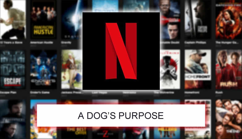 a dogs purpose netflix